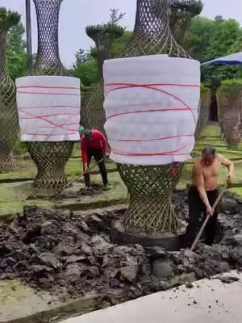 巨無霸紫薇造型樹震撼登場(chǎng)，金牌苗木人誠信供應(yīng)精品綠化苗木